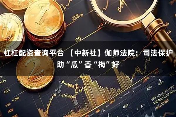 杠杠配资查询平台 【中新社】伽师法院：司法保护助“瓜”香“梅”好